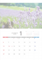 n-s_click2019.jpg